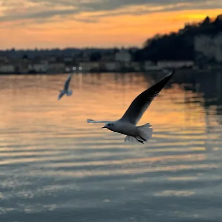 아파트 Nest Of The Lakes - Between Maggiore, Monate And Comabbio *